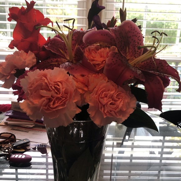 Welcome to my closet! My name is Harriet - Picture 16 of 16